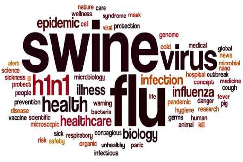 How do I increase my immunity to prevent swine flu?