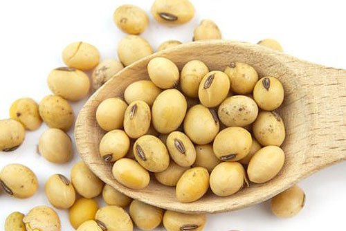 soybean for your beauty care