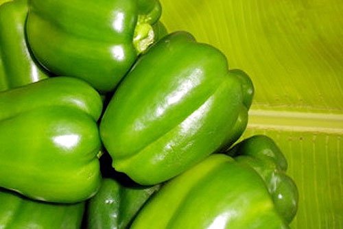 Control your diabetes and obesity with capsicum