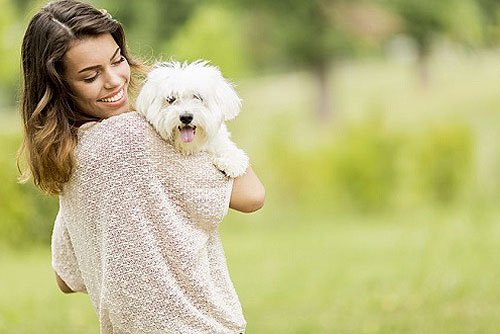 Things Pets Teach You about a Happier, Healthier Life