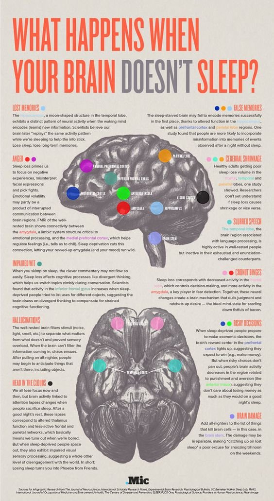 Why Getting Enough Sleep Is Good for the Brain