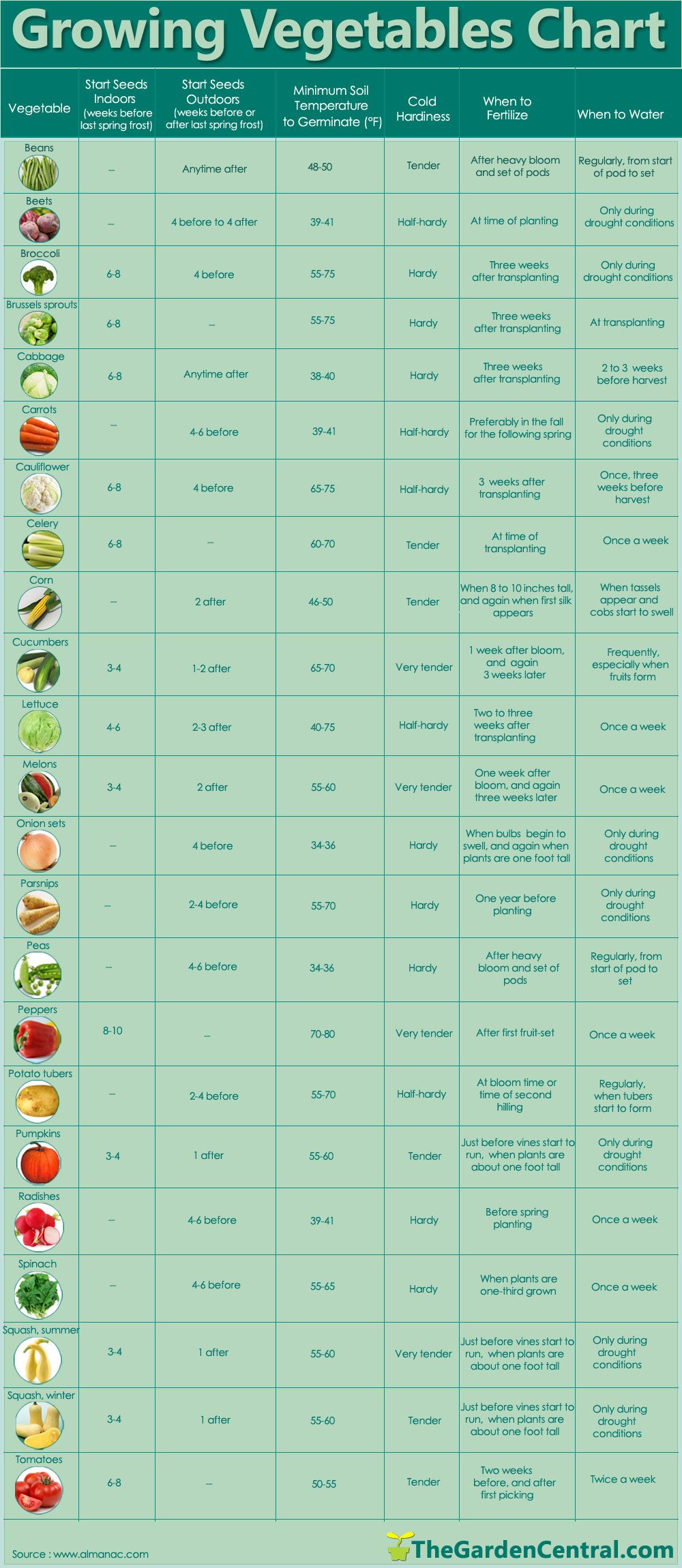 Vegetable Gardening