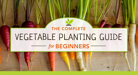 The Complete Vegetable Planting Guide for Beginners