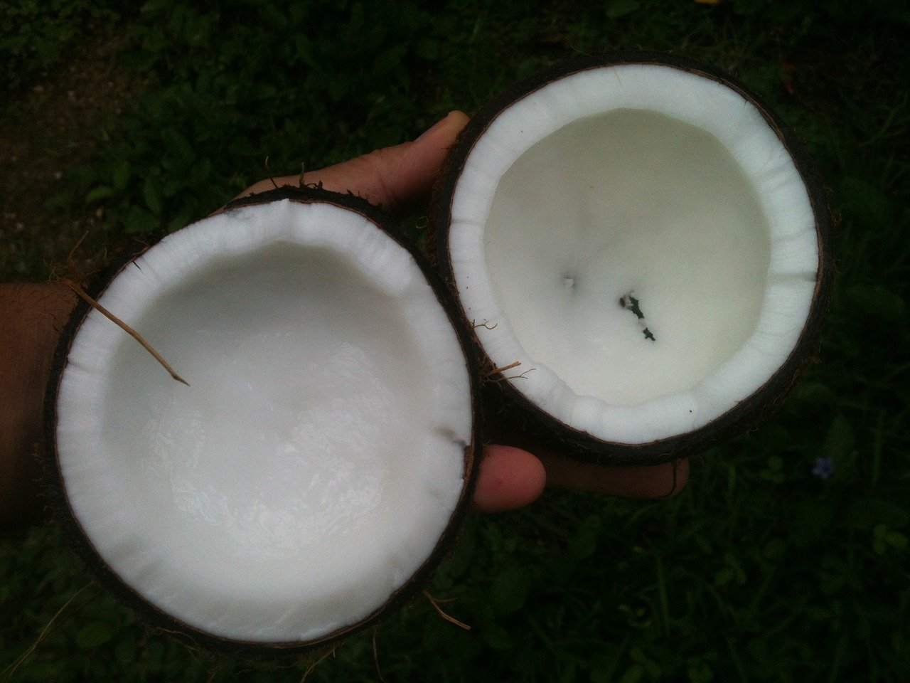 How does coconut oil affect health?, coconut oil benefits for skin, coconut oil benefits and side effects, coconut oil benefits for hair, coconut oil weight loss, how to eat coconut oil, coconut oil benefits mayo clinic, coconut oil for teeth, how to use coconut oil,
