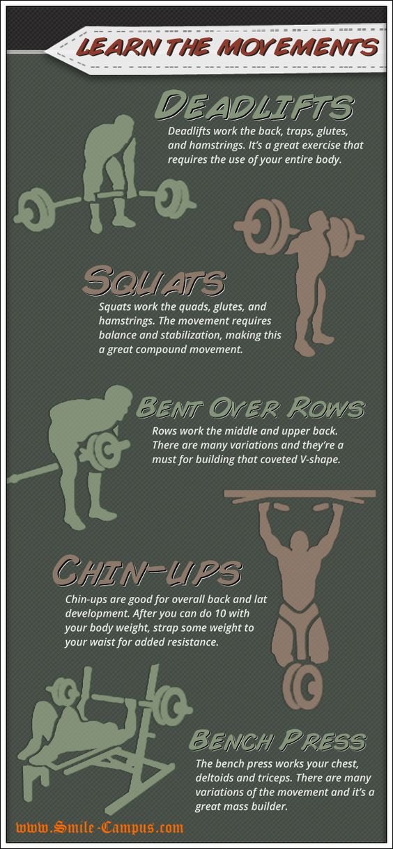 Compound Exercises for Beginners that use Multiple Muscles