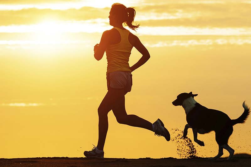 Let your pets be a part of your workouts