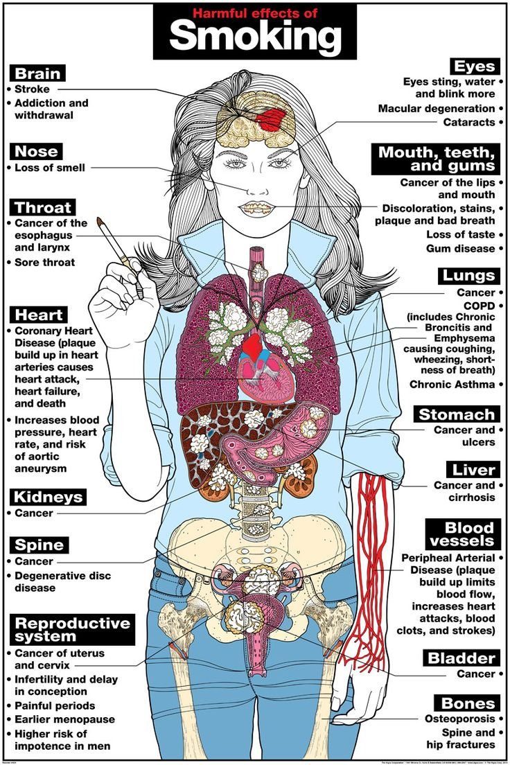 5 Organs Get Mostly Affected by Smoking - Women Fitness ...