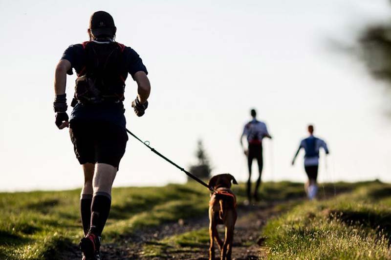 Running with Dog