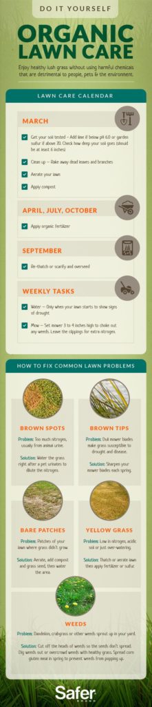 How to Get and Maintain a Healthy Lawn