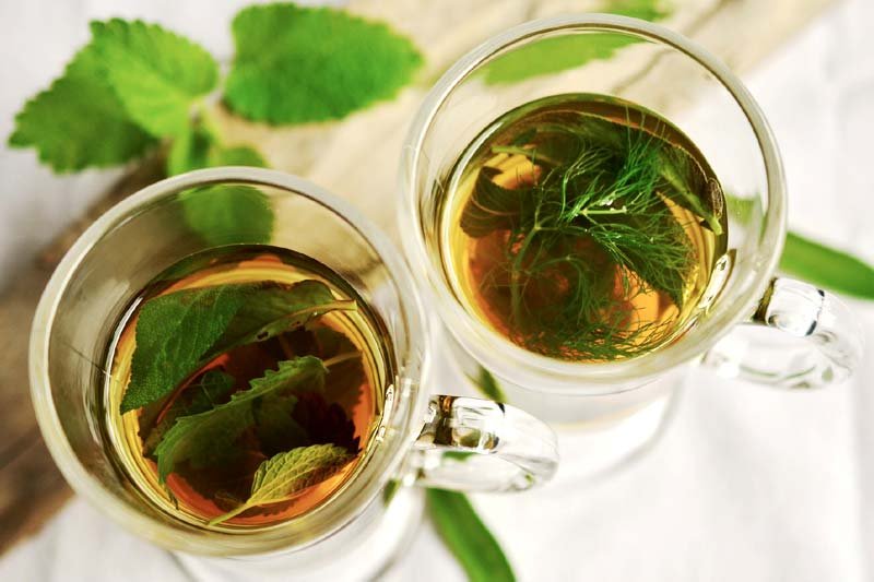5 Types of Tea for a good health, is herbal tea good for you, different types of tea and their benefits, which tea is best for you, benefits of tea with milk, benefits of drinking black tea, benefits of lipton tea, tea benefits chart,