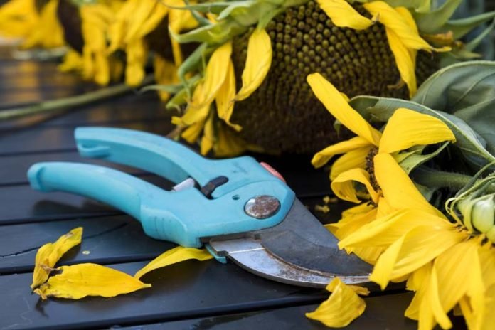 Top 17 Must Have Garden Tools Every Gardener Should Own