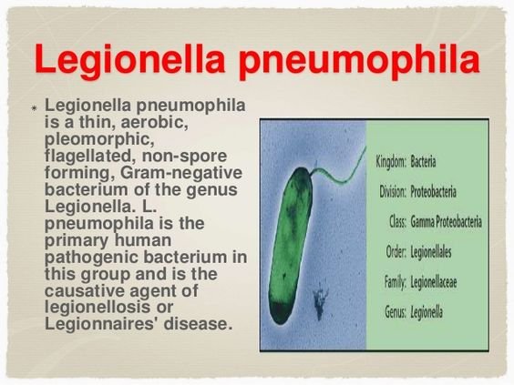 Legionella Testing Kits