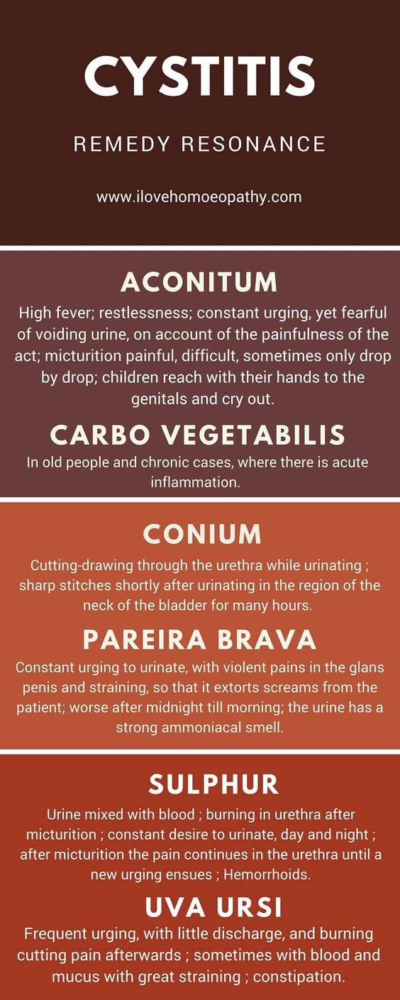 Bacterial Cystitis