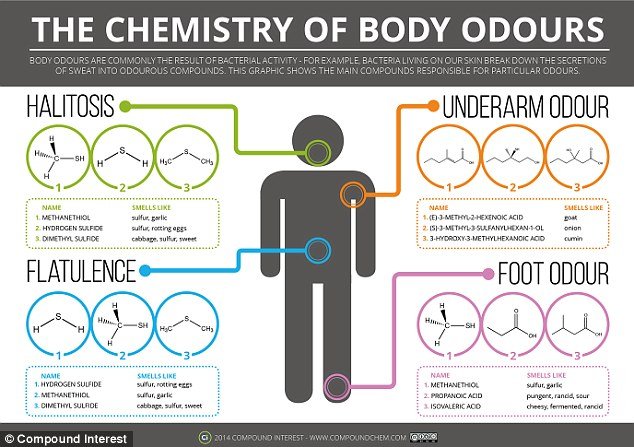 Chemistry of Body Odor