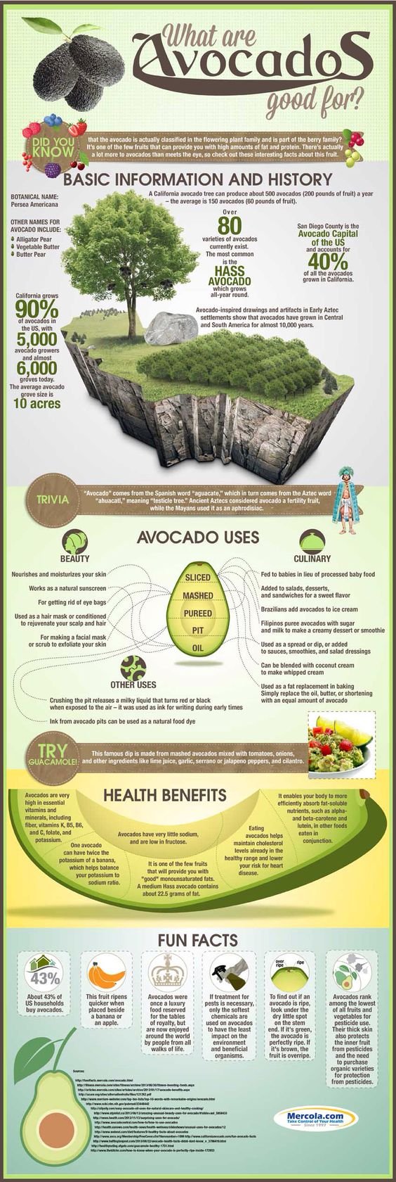 what are avocados good for