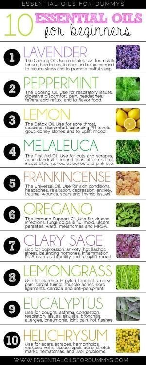 essential oil for beginners