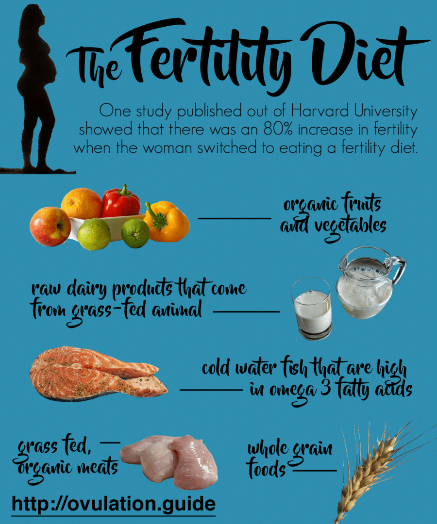 fertility diet plan