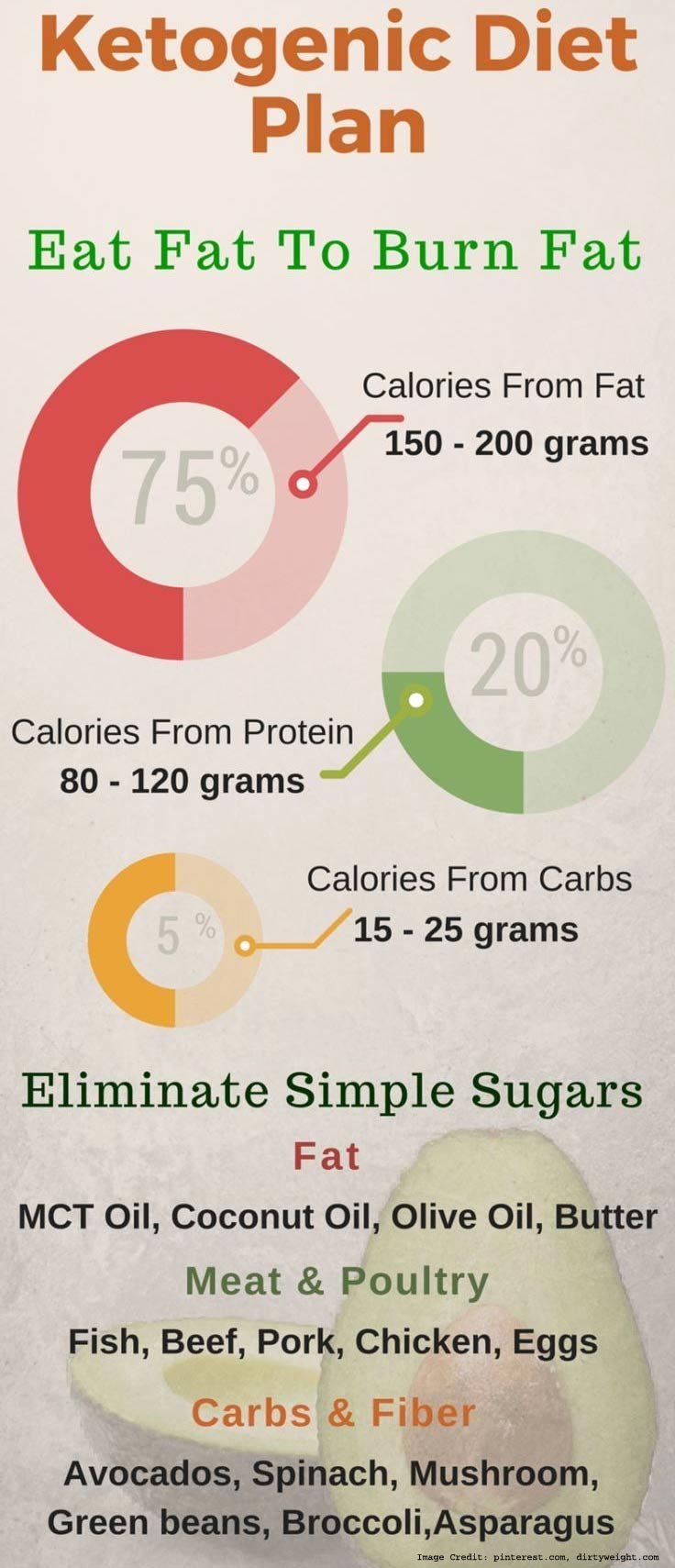 ketogenic diet plan