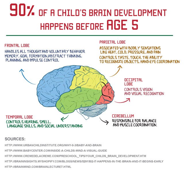 Child's brain development