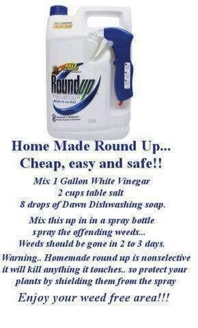 Home made round up