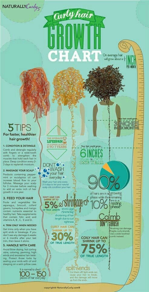 curly hair growth chart