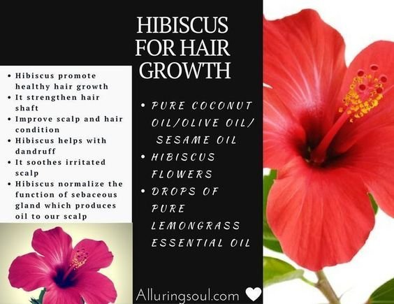 Hibiscus for Hair Growth