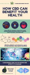 1st Vitality CBD Gummies Review Best Result & Benefits