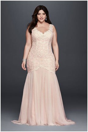 Plus Size Lace Dress