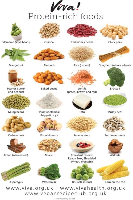 Protein rich foods