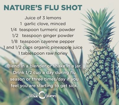 natural Flu shot