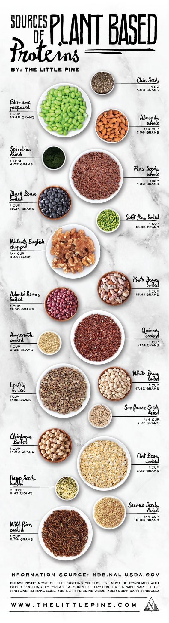 sources of plant based proteins