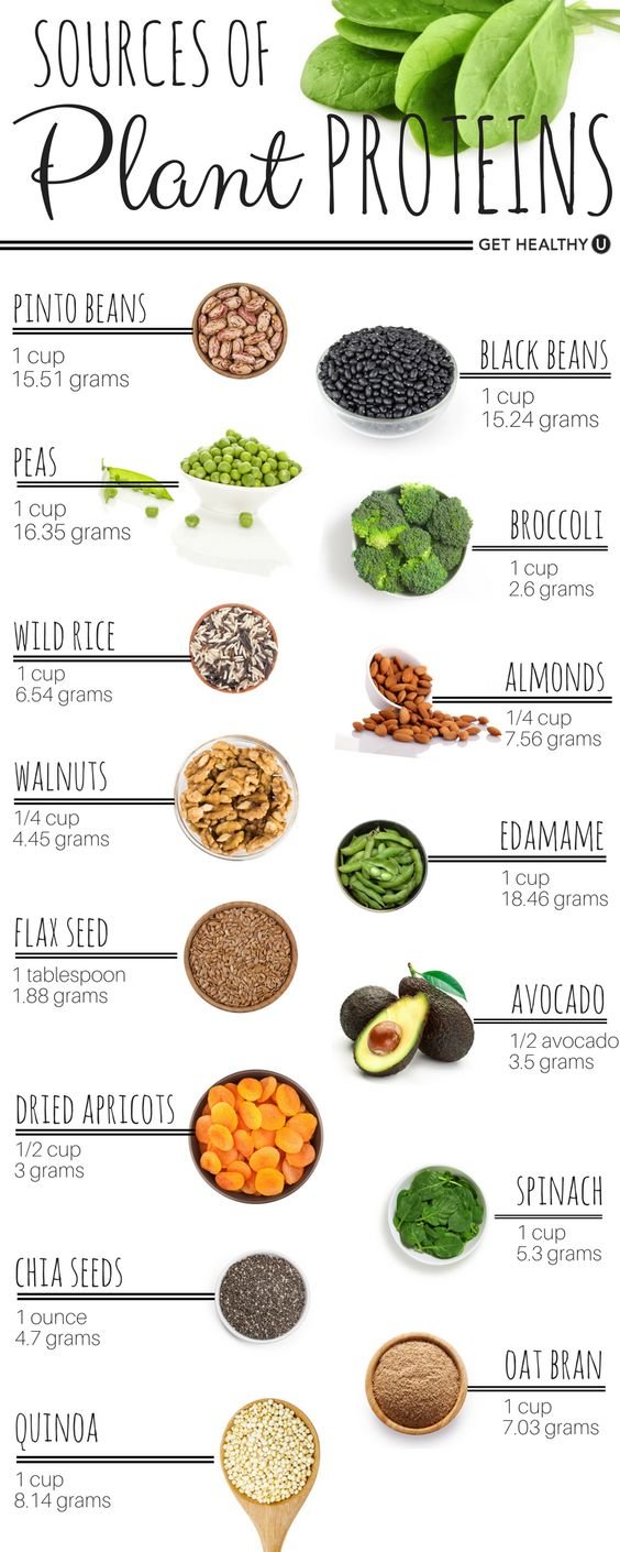 sources of plant proteins