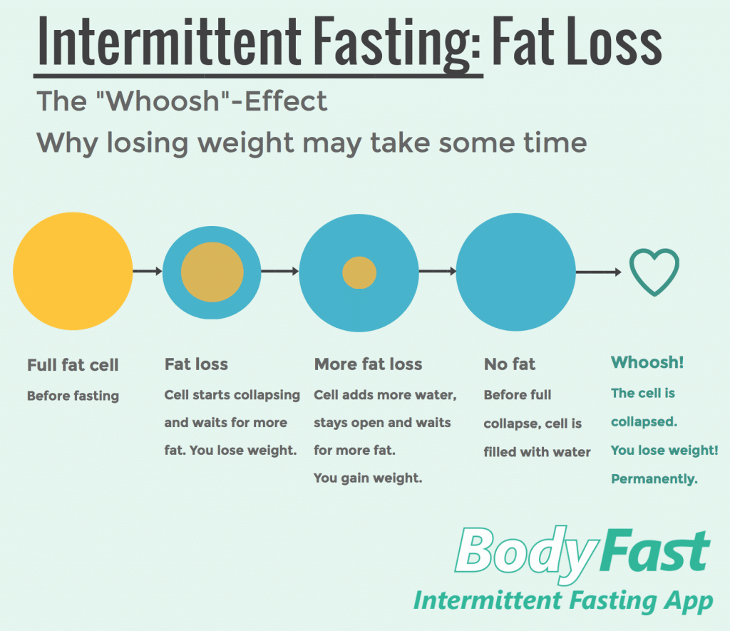 Intermittent Fasting Fat loss