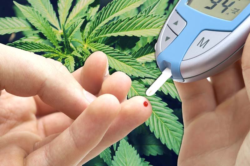 Is CBD Good For Treating Diabetes?
