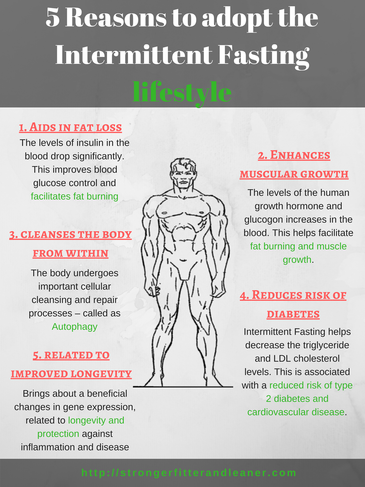 Reasons to adopt Intermittent Fasting