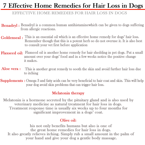Effective Home Remedies for Hair Loss in Dogs