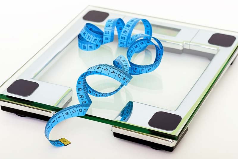 Best Body Fat Scale Buying Guide