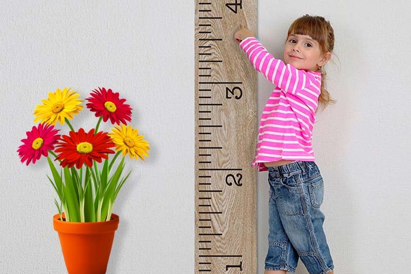 How to Grow Taller - Diet & Vitamins That Help Growing
