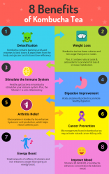 What are the benefits of drinking Kombucha?