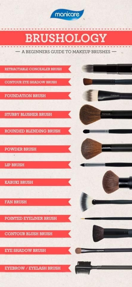 Different types of Makeup Brushes