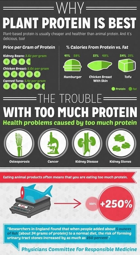 The rise of plant based protein supplements