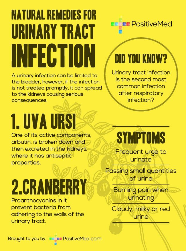 Natural Remedies for Urinary Tract Infection