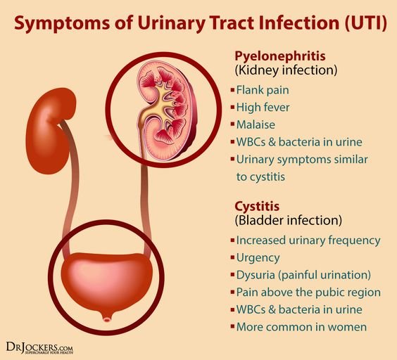 Symptoms of Urinary Tract Infection UTI