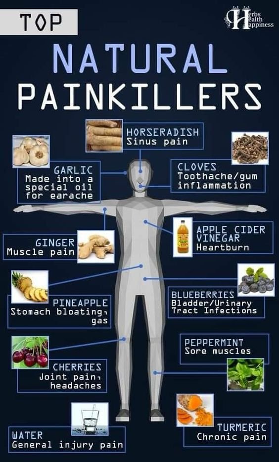 Top Natural Pain Killers