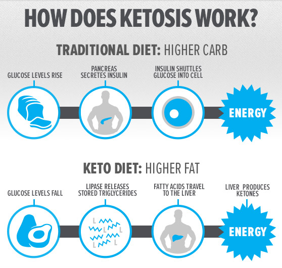 how does Ketosis works