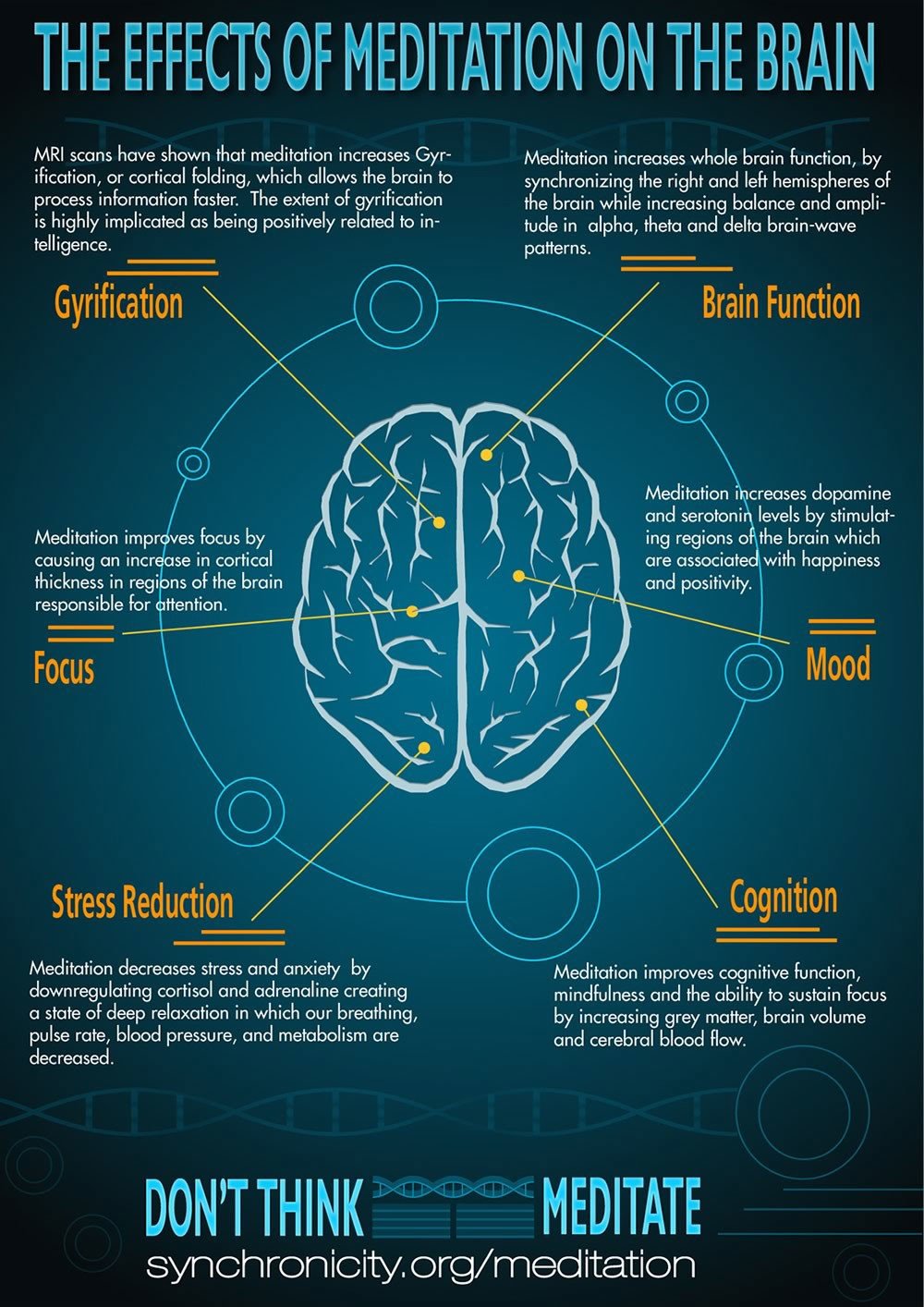 Effects of Meditation on the Brain