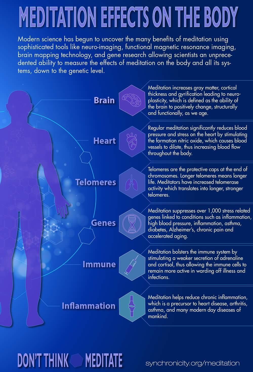 Meditation effects on the body