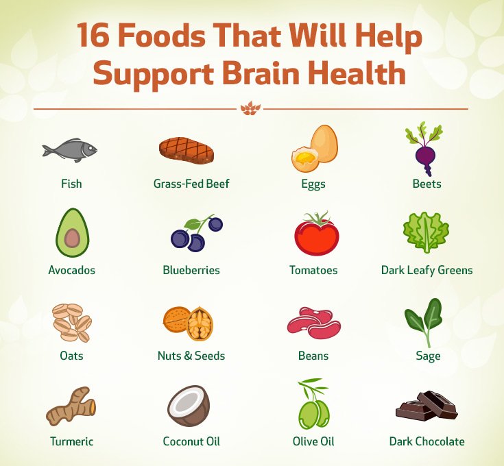 Foods that will help support Brain health