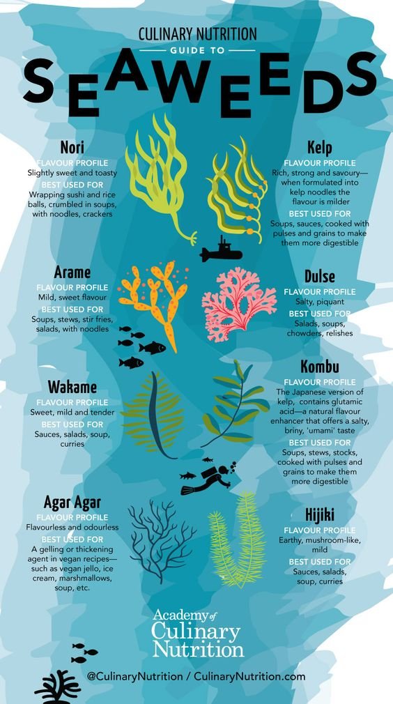 Guide to Seaweed