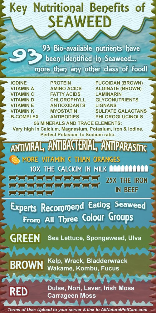 Nutritional Benefits of Seaweed